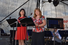 2017-Žváčkův festival